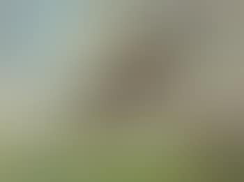 Ohne Titel (landschaft) (preview)