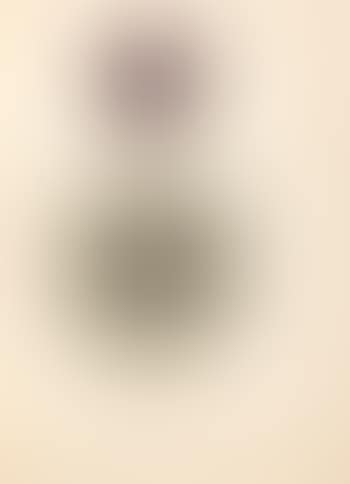 Orden (preview)