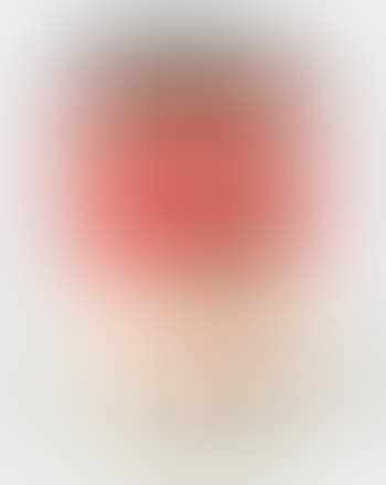Campbell's Soup Can. Tomato Soup (preview)