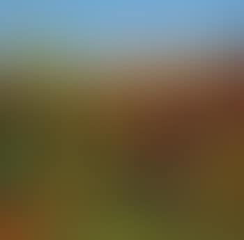 Ottobre (preview)