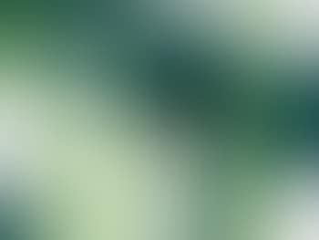 Candore incolore (preview)