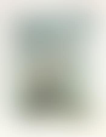 Senza titolo (preview)