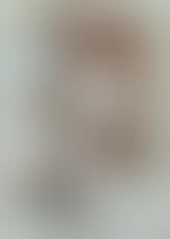 The White Camisole (preview)