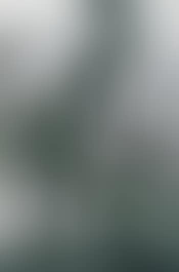 Sans-titre (preview)