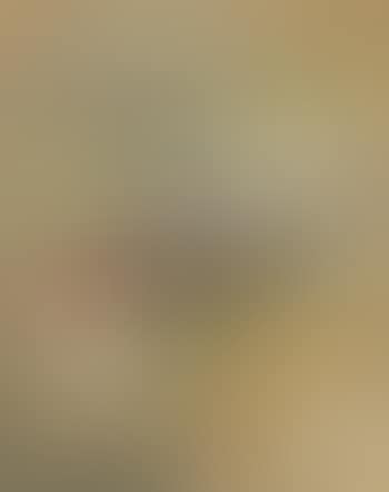 Untitled (Ternationa) (preview)