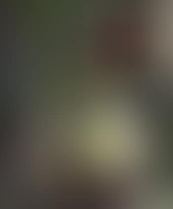 Nature morte au chandelier (preview)