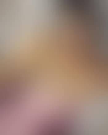 La chemise rose II (preview)