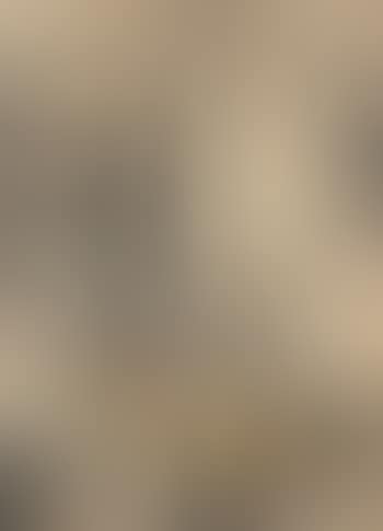 New York (preview)