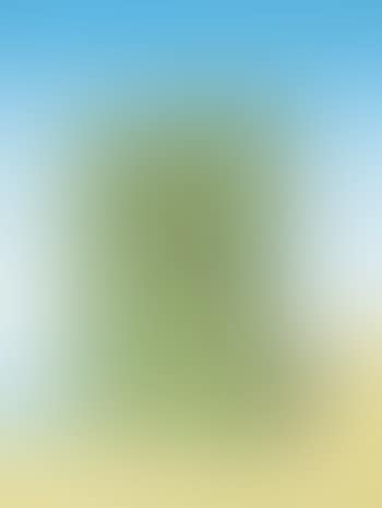 L'horizon (preview)