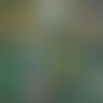 Stilleben Mit Lampe (Still-life With Lamp) (preview)