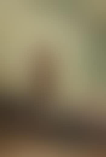 Indian on horseback (preview)