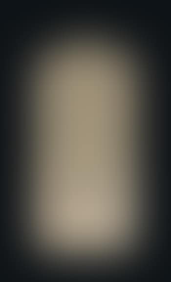 Portrait de Walter Gropius (preview)
