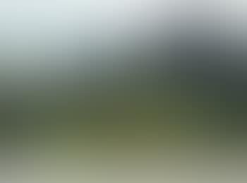 Visbyn muureilla (preview)