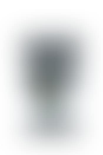 Juhlakuutio (preview)