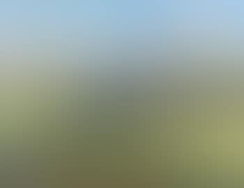 Exmoor (preview)