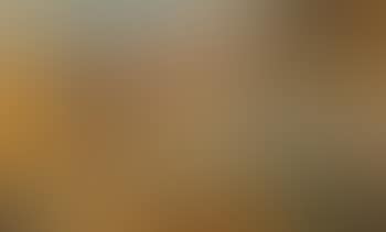 Untiled (preview)