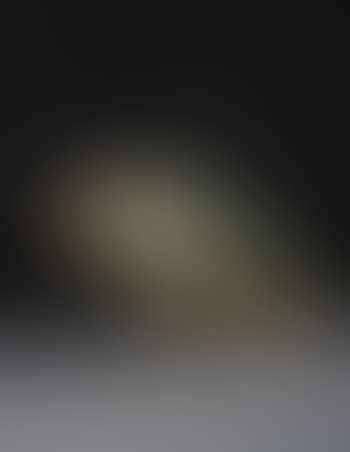 Untitled (Koi) (preview)