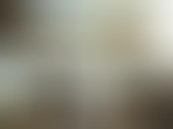 Scenes Of Wild Animals And The Hunt (preview)