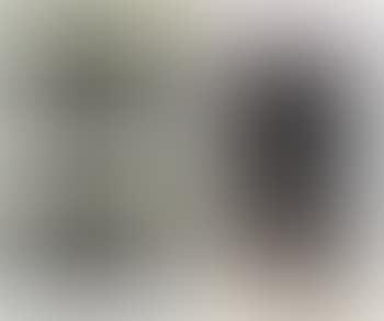 Coll.Bootleg #4 by David Allen  by Douglas Gordon (preview)