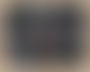 Dunkelbuntes Gartenbild (Picture Of A Garden In Dark Colours) (preview)