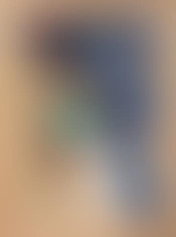Chulos (preview)