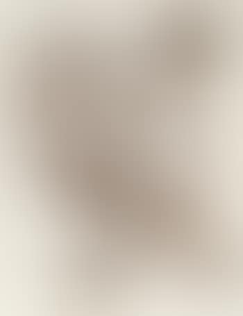 Untitled (D312) (preview)