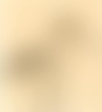 Untitled (Study Of A Bird) (preview)