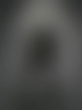 Zeitgeist (preview)