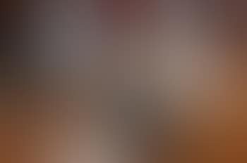 Vol d'Oies Sauvages (preview)