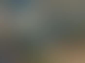 Day And Night Landscape (preview)