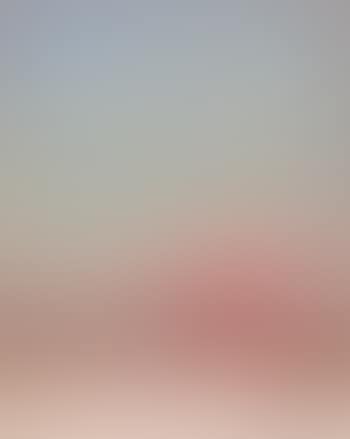 The Tree At The End Of The Garden (preview)