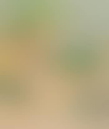 Juan Les Pins (preview)