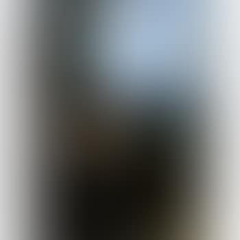 Saint Francis in meditation (preview)