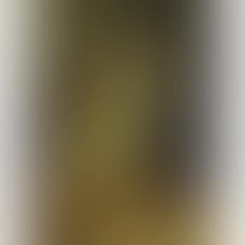 Still life of fruit and claret jug (preview)