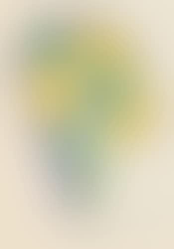 Bouquet de fleurs jaunes (preview)