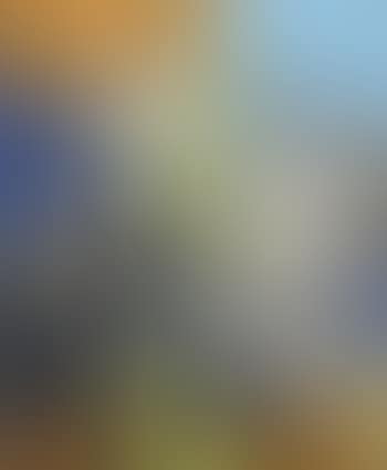 Le Sacré Coeur, vue de la fenêtre (preview)