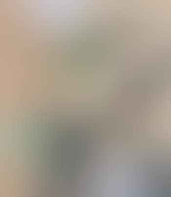 Ohne Titel (Untitled) (preview)