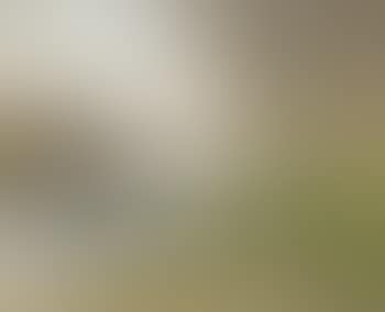 La drague (preview)