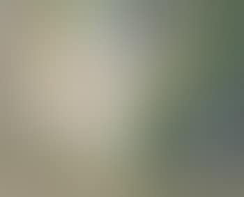 Brume matinale (preview)