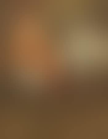 Le Grand Coq (preview)
