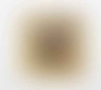 Bernadotte, No Monet Junge (preview)