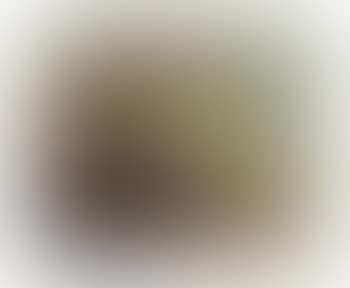 A river landscape (preview)