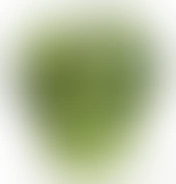 A Monumental "Millefiore" Paperweight Vase (preview)
