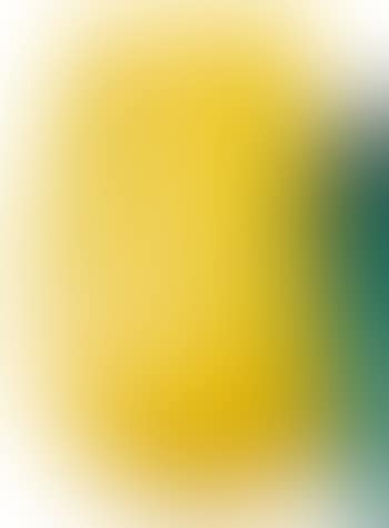 Vase (preview)
