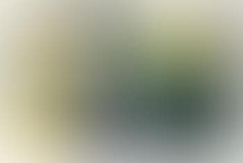 Les Petits Bateaux (Jacometti 58; Agerup 84). Untitled (A. 288) (preview)