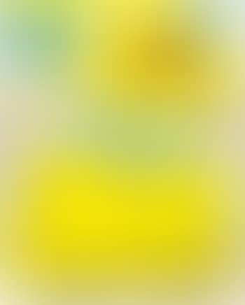 Kawsbob (Closed Mouth) (preview)