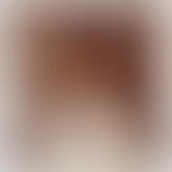 One plate, from Studies for Chinese Summerhall (preview)