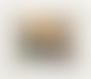 [Untitled] (preview)