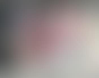 [Untitled] (preview)