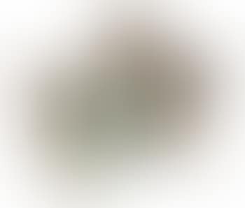 [Untitled] (preview)